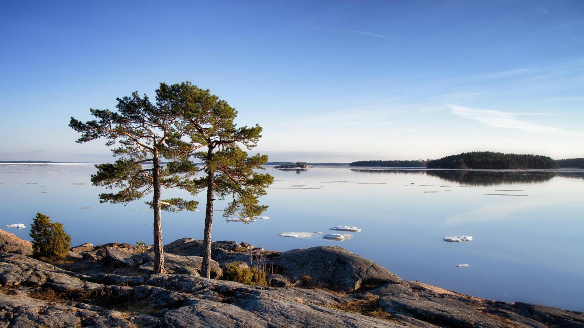 Hotel Rantapuisto