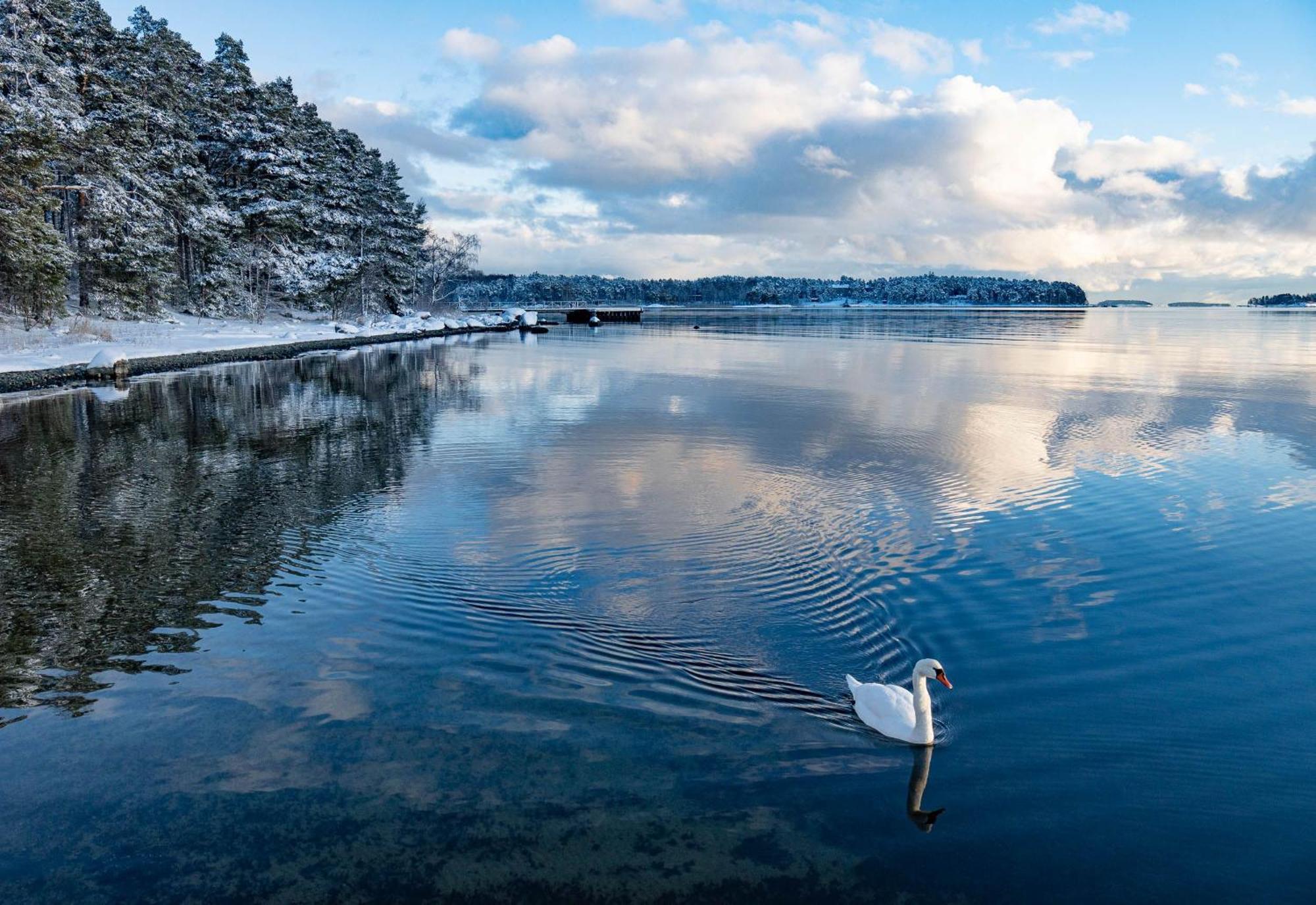 Rantapuisto Helsinki
